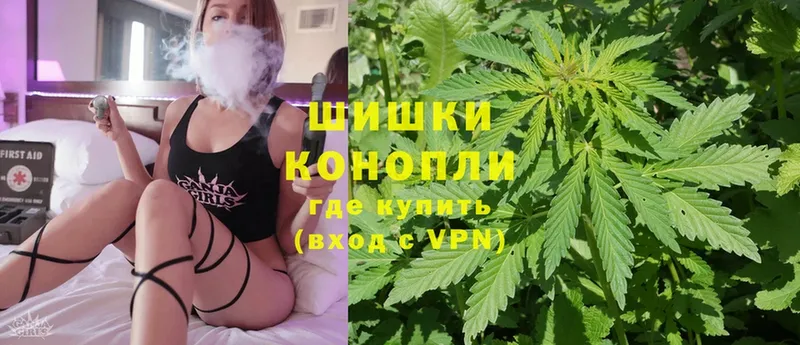 Каннабис SATIVA & INDICA  где продают наркотики  omg ссылка  Очёр 